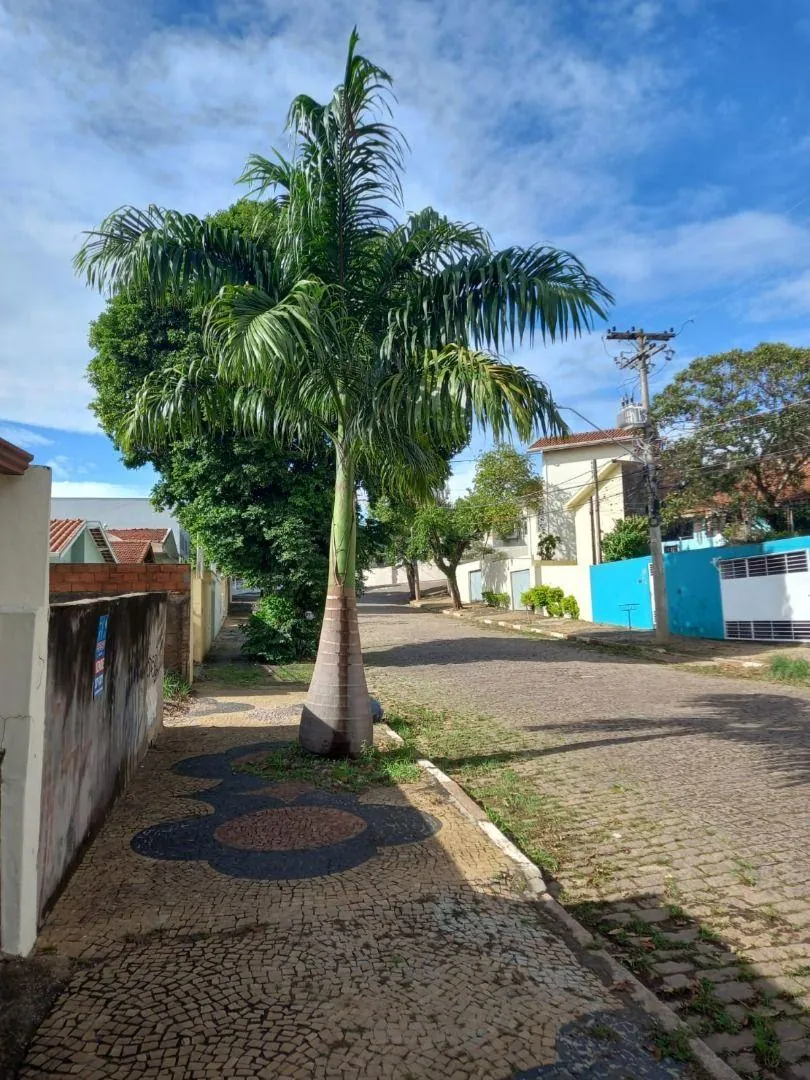 Ótimo terreno com 406 m2 no São Cristóvão, com ótimo preço! Ótima localização para construção residencial e/ou comercial., foto 1